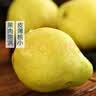 即食青啤梨5-6粒900g 实拍图