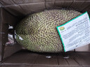 京鲜生 海南菠萝蜜 18-22斤 净重18斤 生鲜水果 源头直发 实拍图