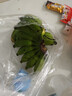 广西网红小米蕉青香蕉发货密封放熟吃新鲜水果皮薄肉厚 带箱2斤青蕉发货 实拍图