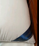 五星级酒店同款枕头枕芯舒适睡眠专用一对家用学生宿舍不塌陷枕头 白色经典款【中枕】 【一对装】 实拍图