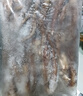 一虾一世界新鲜冷冻大号三去鱿鱼系列 生鲜火锅烧烤食材海鲜水产 鱿鱼须 5斤(净重)  【固形物70%】 实拍图