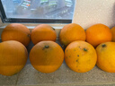 京地达四川爱媛38号果冻橙净重8斤大果15-18粒柑橘桔子水果源头直发 实拍图