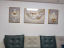 诗六艺家饰客厅装饰画北欧现代简约沙发背景墙挂画三联画大气轻奢壁画晶瓷画 羽鹿生辉（铝合金外框） 晶瓷画左右50*70+中间100*70亮面 实拍图