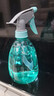喷壶浇花浇水喷雾器气压式喷水壶家用园艺养花500ml 南瓜喷壶透蓝【1个装】 实拍图