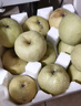 京地达砀山酥梨净重9斤大果约350g 新鲜现摘 雪梨贡梨子 源头直发 包邮 实拍图
