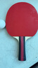 红双喜SH横直对拍01初学者训练比赛乒乓球拍横直套装+乒乓球 实拍图