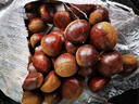 【东东农场专供】25年丹东新板栗生板栗炒菜专用新鲜蔬菜生鲜 25年新货 5斤 送栗爪 实拍图