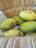 新鲜大青芒果新鲜现摘青皮金煌芒水果大果肉厚皮薄 带箱8斤大果400g+ 晒单实拍图