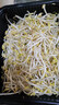 【有机】绿豆芽 200g 实拍图