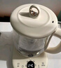 小熊（Bear）养生壶 1.5L煮茶壶煮茶器 玻璃花茶壶 316不锈钢恒温水壶烧水壶电热水壶 YSH-E15M1 实拍图