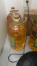 金龙鱼 食用油 非转基因 物理压榨玉米油6.18L（蕴含植物甾醇） 实拍图