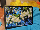 Apple/苹果 iPad11英寸 A16芯片2025年款 平板电脑 (256GB WLAN版/学习办公娱乐)黄色 实拍图
