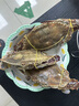 梭子蟹鲜活特大野生舟山大螃蟹海鲜新鲜冷冻海蟹水产飞蟹白蟹顺丰 3-5两/只 【净重3斤舟山梭子蟹】 实拍图
