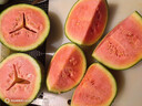 全美2K小糖丸西瓜 2K小糖丸西瓜2-3斤 实拍图