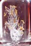 西凤酒海窖龄 20年品鉴酒 52度 凤香型白酒 500ml*2瓶 送礼自饮 实拍图