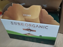 圣牧有机纯牛奶 品醇200ml*12盒 口感清爽 纯净有机 送礼礼盒 实拍图