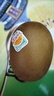 佳沛（zespri）新西兰 阳光金奇异果12粒礼盒特大果单果约122-146g 猕猴桃 水果 实拍图