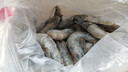 东上御品虾 青岛大虾基围虾鲜活青虾白虾海虾对虾冰虾冻虾生鲜 虾类 海鲜 3斤(净重)  气冻大虾【活虾速冻】 15-18cm【单只超大虾】 实拍图