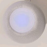 Apple/苹果 HomePod mini 智能音响蓝牙音箱-黄色 苹果音响音箱智能家居中枢 实拍图