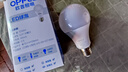 欧普照明（OPPLE）LED球泡E27螺口灯泡【12w-白光6500K】1只装 商用大功率光源 实拍图