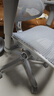 Ergonor保友金豪b雄鹰 人体工学椅 电脑椅 电竞椅办公椅子可躺老板椅 【金豪b雄鹰X】银白网 实拍图