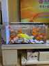 长锐侧滤鱼缸桌面办公室免换水生态水草超白水族箱 K800标配版【长80 宽30 高40】 实拍图