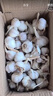 【百万单爆品】紫白皮蒜水果大蒜超市生鲜蔬菜调料即食蒜 【优选】 1斤 单果3.5-5cm 实拍图