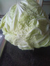 胶河源有机胶州大白菜健康无农残有机认证国家地理标志认证产品 有机胶州大白菜4-5斤/颗 实拍图