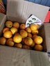 果果牛湖南麻阳冰糖橙 应当季新鲜水果手剥甜橙子高山夏脐血多汁 可选 净重9斤(单果60-65mm)推荐 实拍图