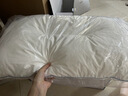 水星家纺枕头枕芯酒店枕头护颈枕头芯家用单个纯棉抗菌可水洗中枕48x74cm 实拍图