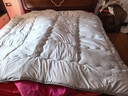南极人被子 立体加厚秋冬被双人冬季被芯被褥棉被空调被10斤 200*230cm 实拍图