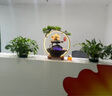 欧梵普（oufanpu）招财猫开业礼品流水摆件摇手发财新店前台乔迁搬家礼物收银台装饰 聚宝盆雨帘流水招财猫摆件 【招财进宝、财福双收】 实拍图