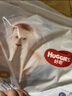 好奇（Huggies）金装拉拉裤XL96片(12-17kg)尿不湿【速干不易红】 实拍图