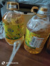 金龙鱼 食用油 非转基因 物理压榨玉米油6.18L（蕴含植物甾醇） 实拍图