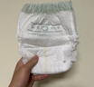 babycare金山茶花拉拉裤XXXL24+3片(＞17kg)婴儿尿不湿超薄透气轻柔花苞裤 实拍图