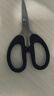 园艺剪刀家用生活中号办公便携手工剪纸刀儿童学生安全办公用品 结实耐用【中号3把】 实拍图