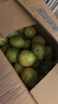 广西钦蜜9号黄金百香果万澄当季新鲜大果黄皮果奶茶店水果 【大果5斤】约27-35个单果60-70g 实拍图
