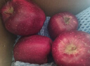 京鲜生 甘肃天水花牛苹果 又大又红 净重6斤 单果240g以上 生鲜水果  实拍图