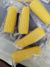 十月稻田 黄糯玉米 3.52斤(220g*8根) 25年新玉米 东北玉米 早餐 低脂粗粮 实拍图