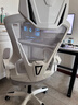 锦汐 电脑椅家用办公椅子靠背人体工学椅学习转椅老板座椅游戏电竞椅 【可后躺】白框灰网 实拍图
