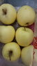 甜醉了 烟台苹果黄元帅粉面苹果黄金帅黄香蕉山东新鲜水果当季整箱鲜果 净重8斤大果80mm 实拍图