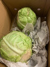 京鲜生山东新鲜绿甘蓝净重5斤单果200g+卷心菜甘蓝新鲜蔬菜 源头直发 实拍图