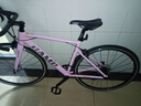 坎普（CAMP）RADON 公路车铝合金顺泰18变速单车圈刹运动赛车碳纤维前叉自行车 粉色 18速 480码 实拍图