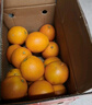 集南鲜 赣南脐橙 新鲜现摘江西橙子 当季孕妇生鲜水果礼盒 普通箱 单果60-70mm 净重9斤家庭装 实拍图