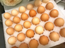 京鲜生可生食标准鲜鸡蛋30枚礼盒装3斤 源头直发 实拍图