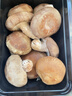 香菇约300g 实拍图