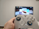飞智冰原狼4多模版无线游戏手柄 类xbox 力调节摇杆双切扳机 switch电脑PC手机steam体感NS 丝之歌 实拍图