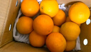 红都品冠红都品冠25.3°赣南脐橙 6斤 铂金果 单果180-230g 生鲜水果礼盒 实拍图