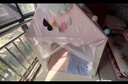 小斑鸠（little dove） 儿童帐篷室内游戏屋 大号男女孩公主房城堡玩具屋生日节日礼物 【顺丰/京仓】(实木)独角兽(不含垫)灯+云+旗 实拍图