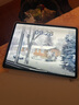 Apple苹果平板电脑 ipadPro2020/2021 11寸12.9寸 2代 四代 二手平板电脑 22款iPad Pro12.9寸准新（电池99%） 256G WIFI版 99成新 实拍图